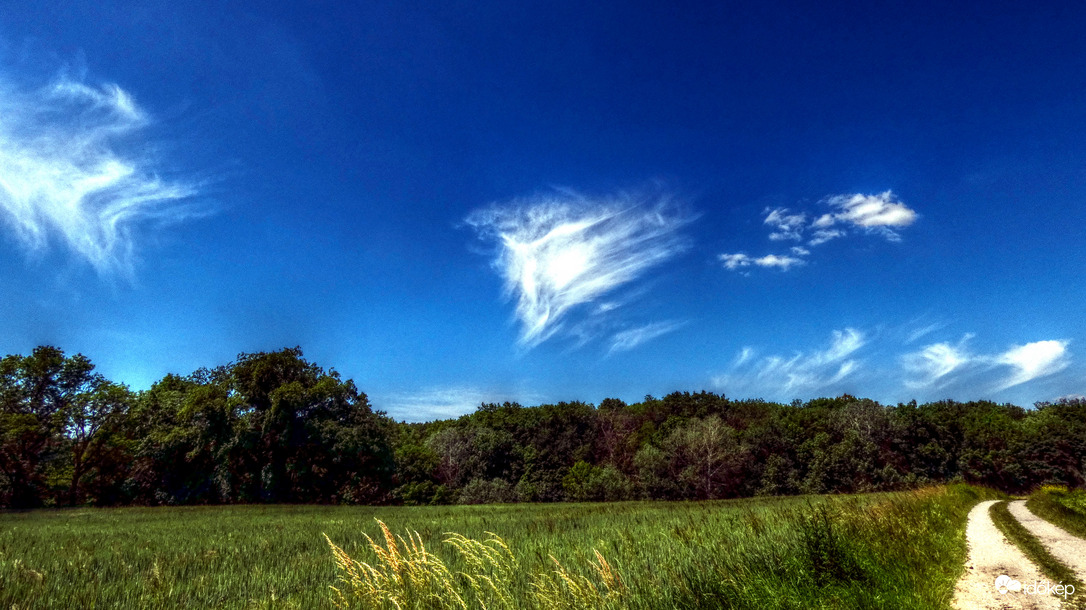 Kék égre "pamacsolt" cirrusok