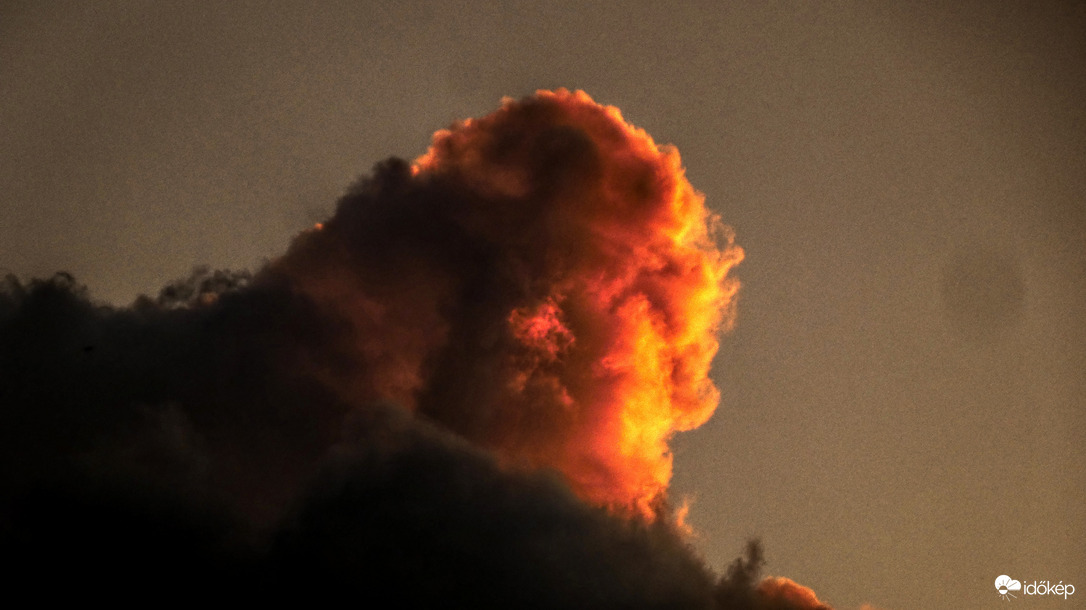 Godzilla púpja