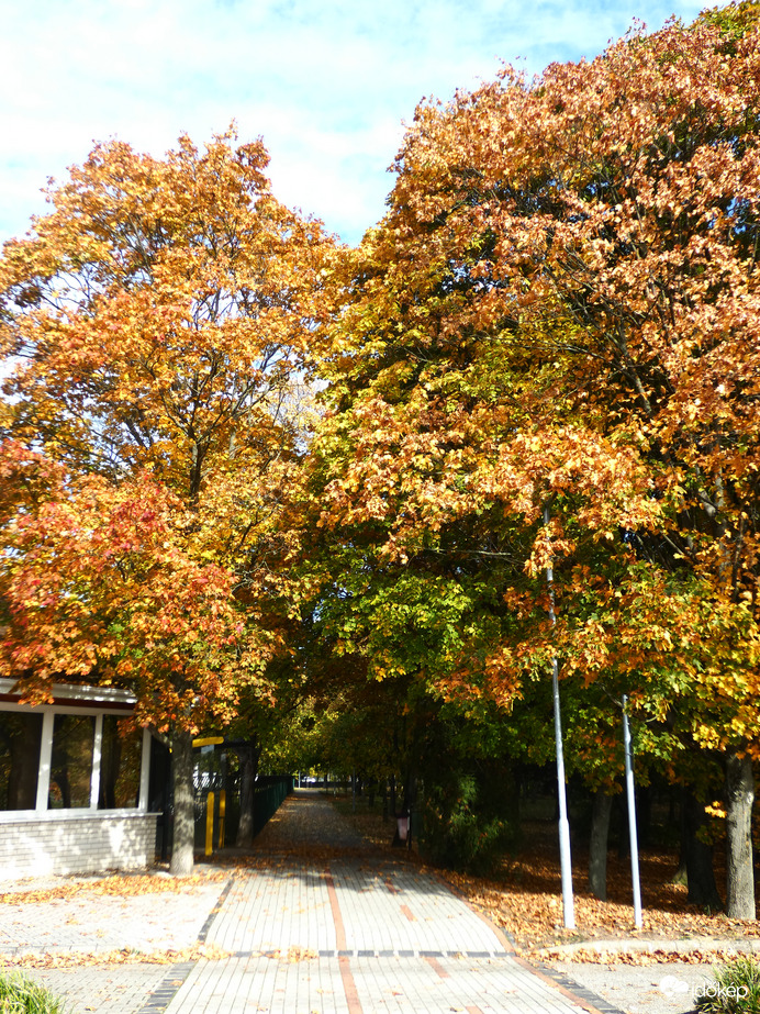 Sétány és bicikliút