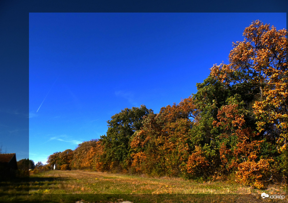 Erdő szélén házikó