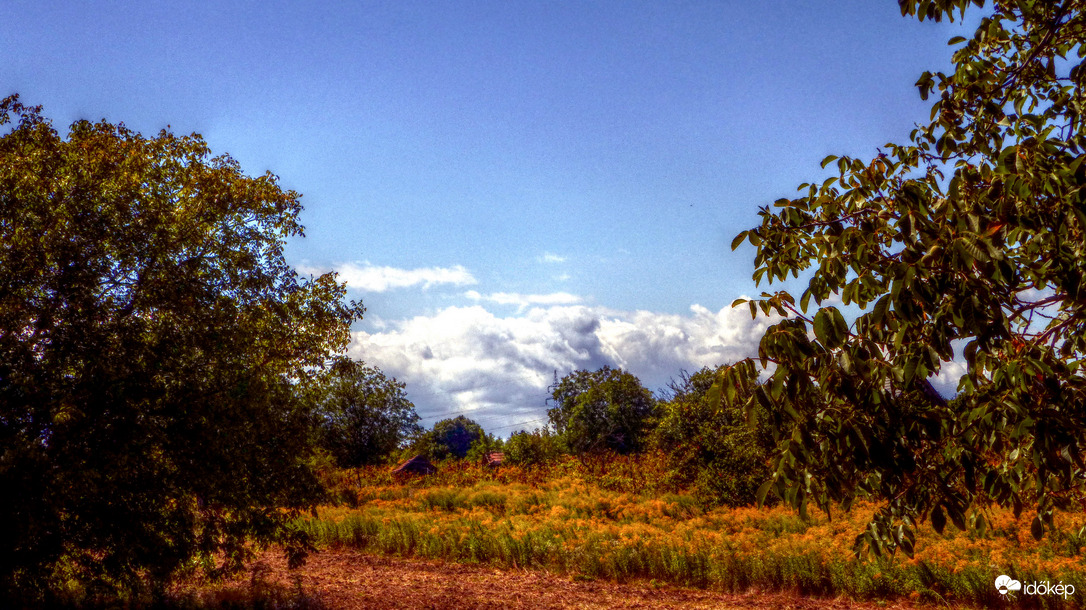 Nyárvégi Virágvölgy