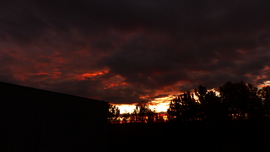 Bokorból leskelődő szörny