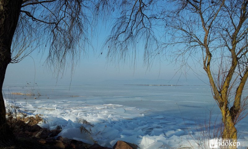 Vízimadarak a jégen