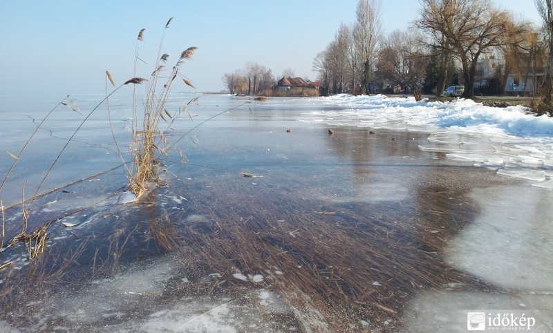 Jégbefagyott nádas 2