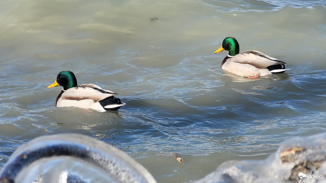 Ha hétvége, akkor welness...