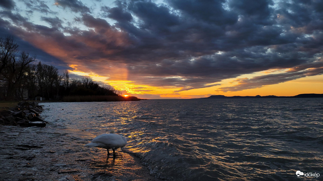 Mai naplemente hattyúval