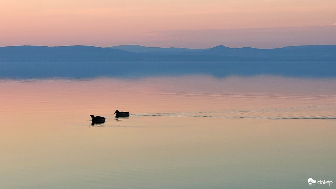 Kedves, elviszlek oda, hol senki sem ismer,