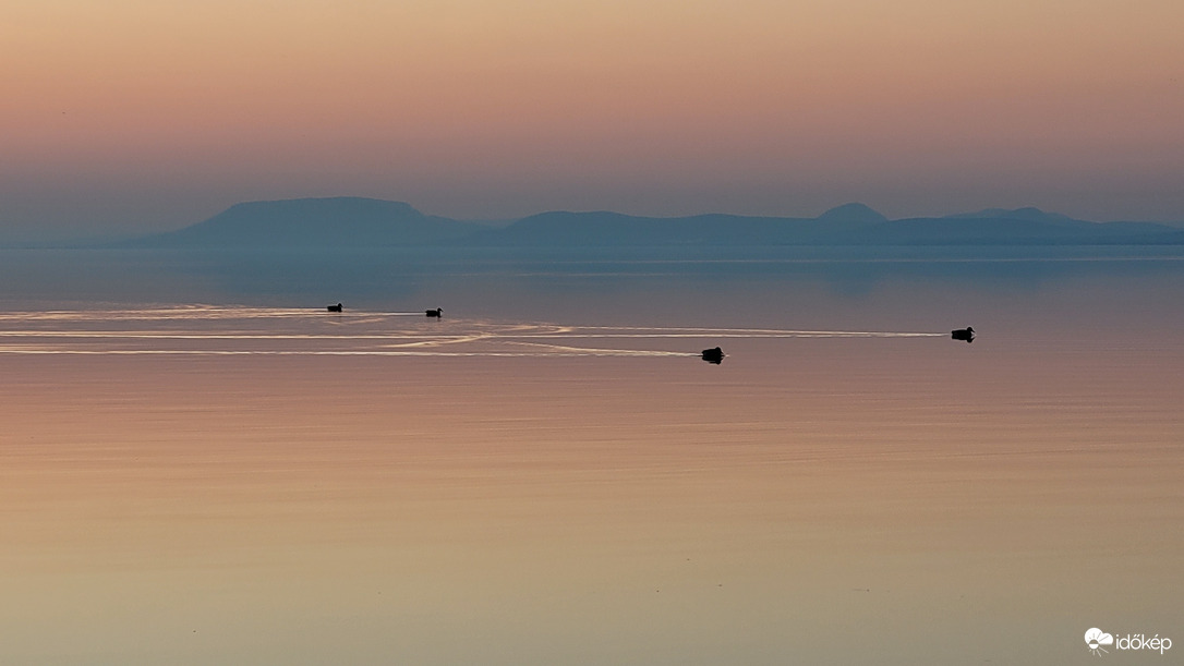 Esti fürdés kipipálva.