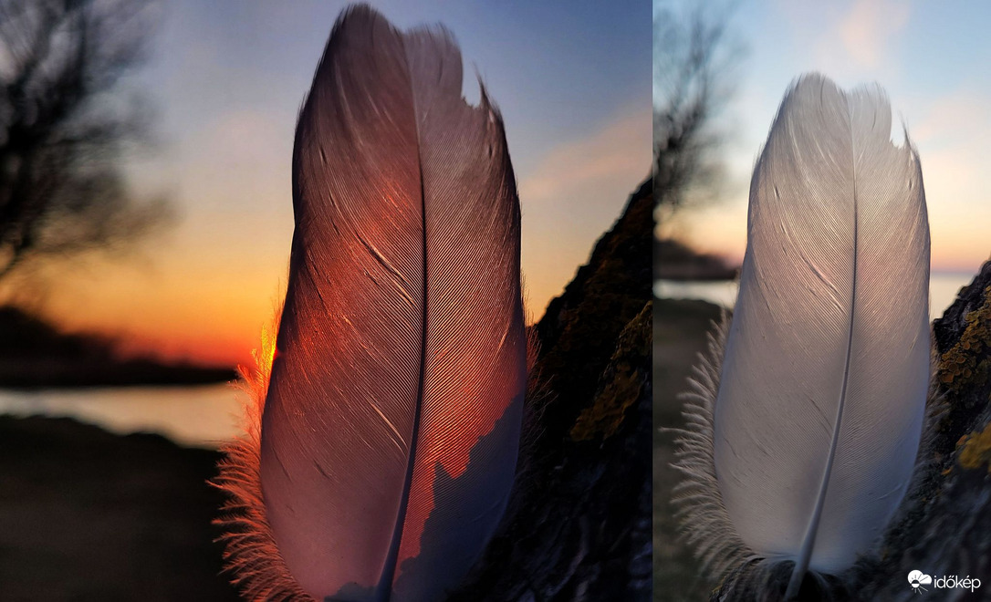 Toll lemenő nap sugaraival és nélküle