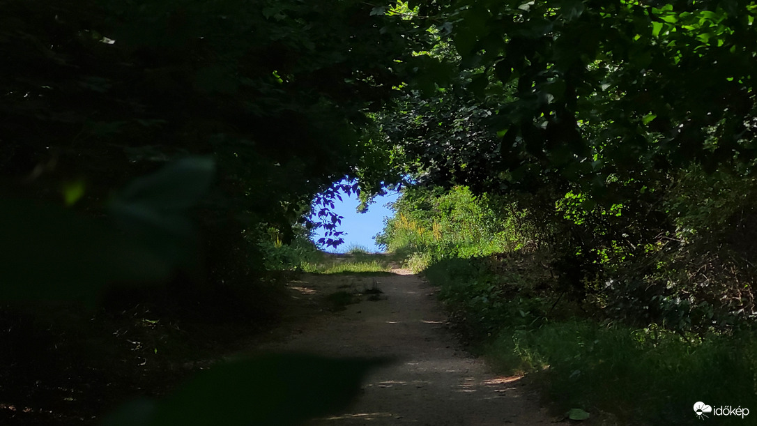 Fekete István-kilátó "kapuja"