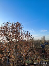 Budapest XIX.ker - Kispest