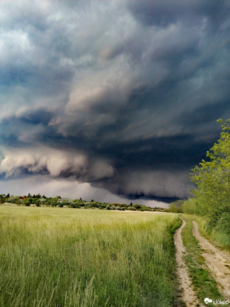 Észlelési fényképek