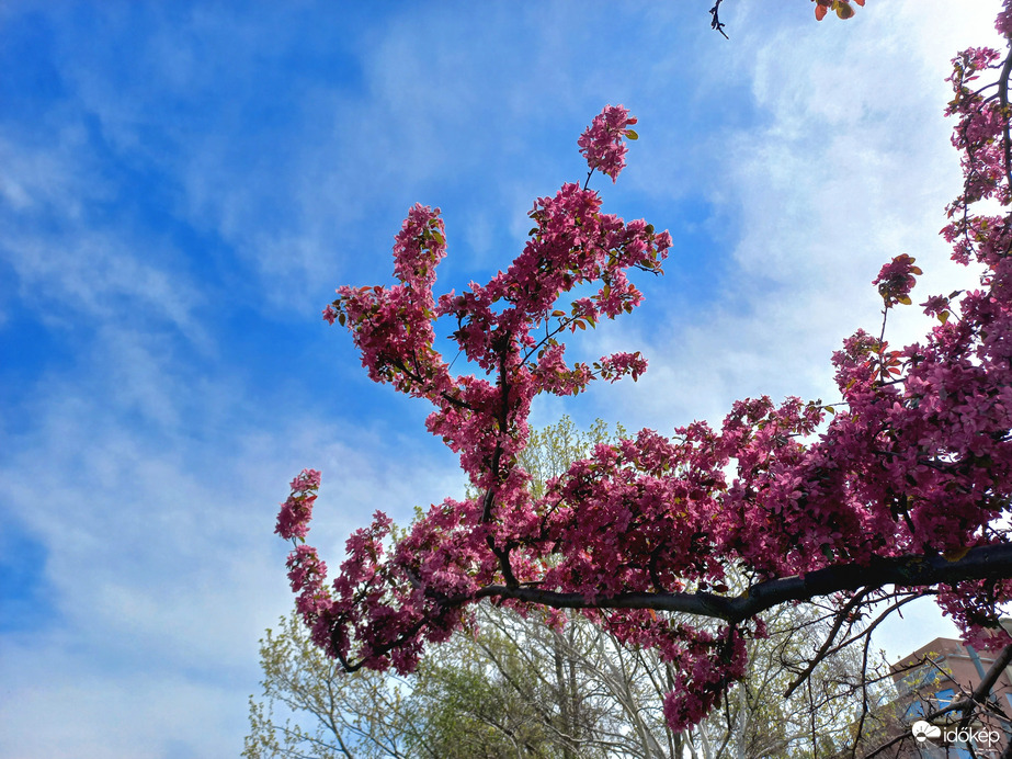 Délutáni színek 2.