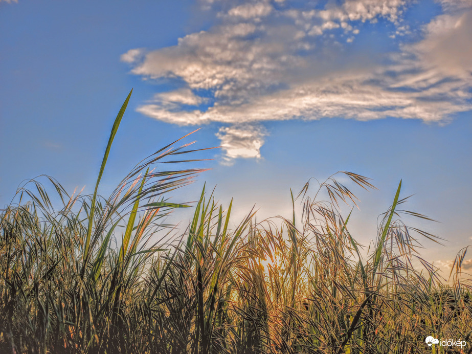 Alkonyati napsütésben. 