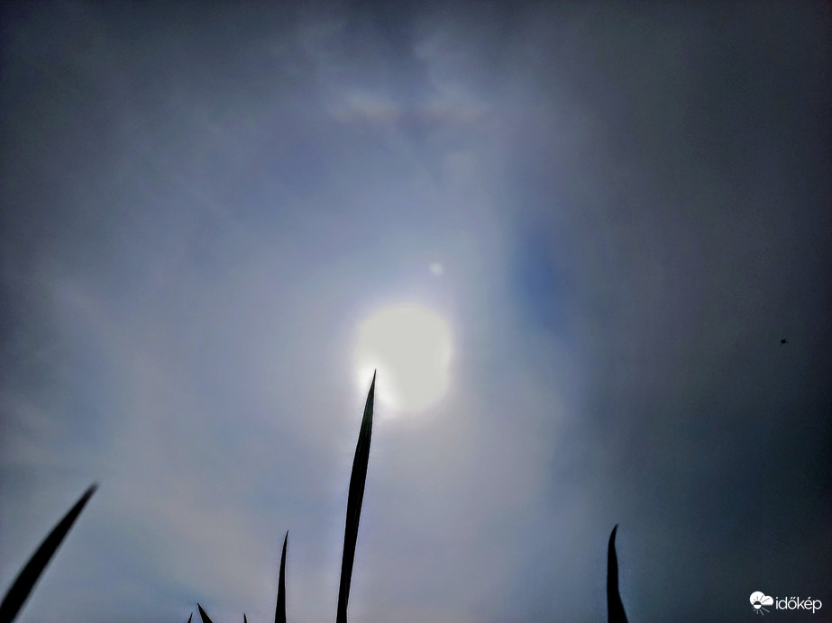 Délutáni naphaló. 