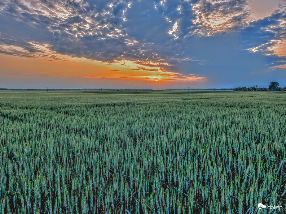 Mai alkonyat színei. 