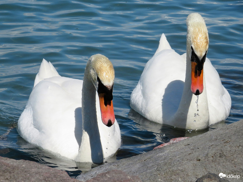 Délutáni nyugalom 2.