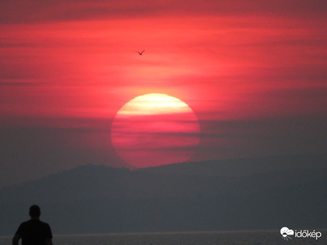Jó éjszakát kívánok mindenkinek! :-)