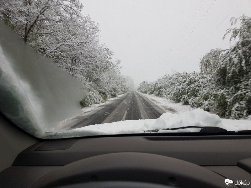 Észlelési fényképek