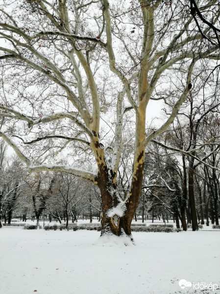 Eger