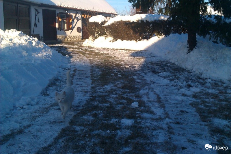 Melyikünk a fehérebb? :)