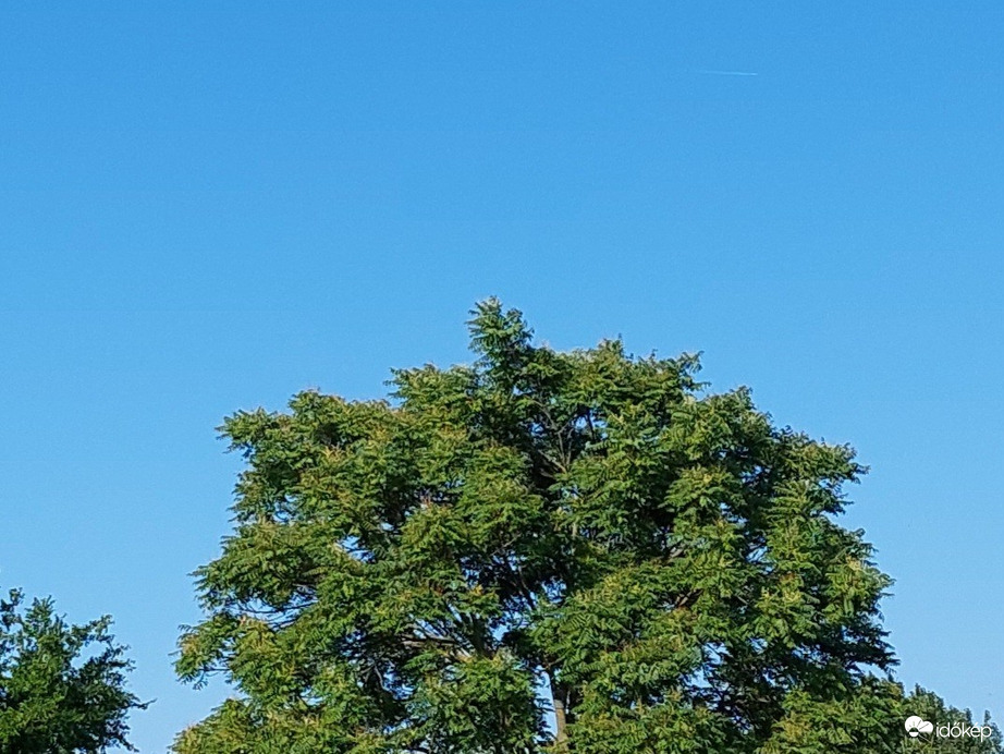 Vác