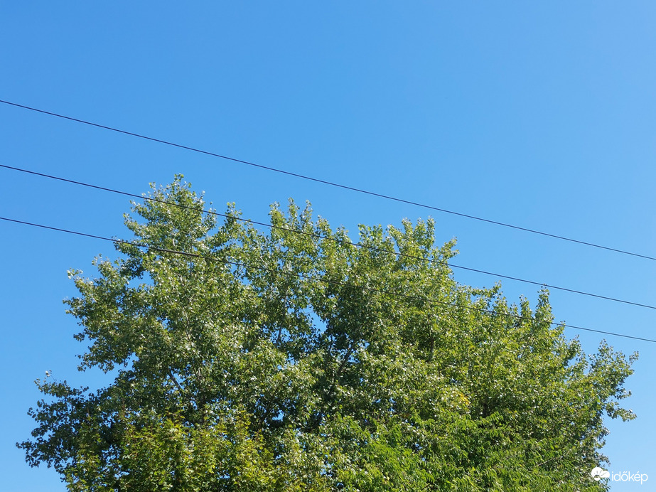 Vác