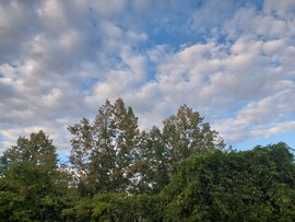 Vác
