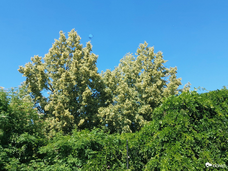Vác