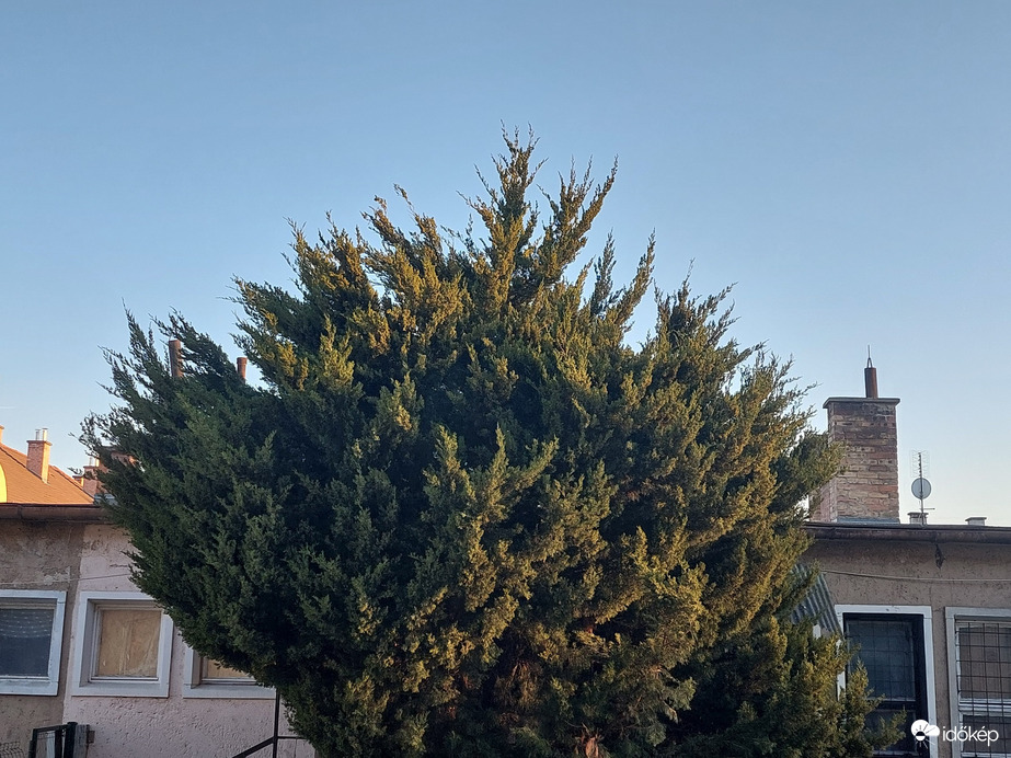 Vác