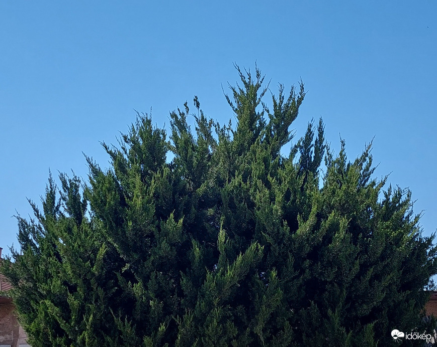 Vác