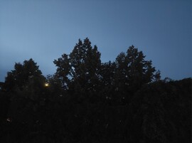 Vác