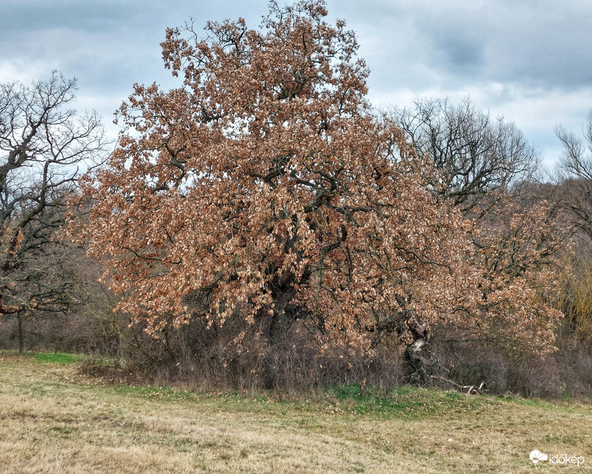 Még mindig ruhában 