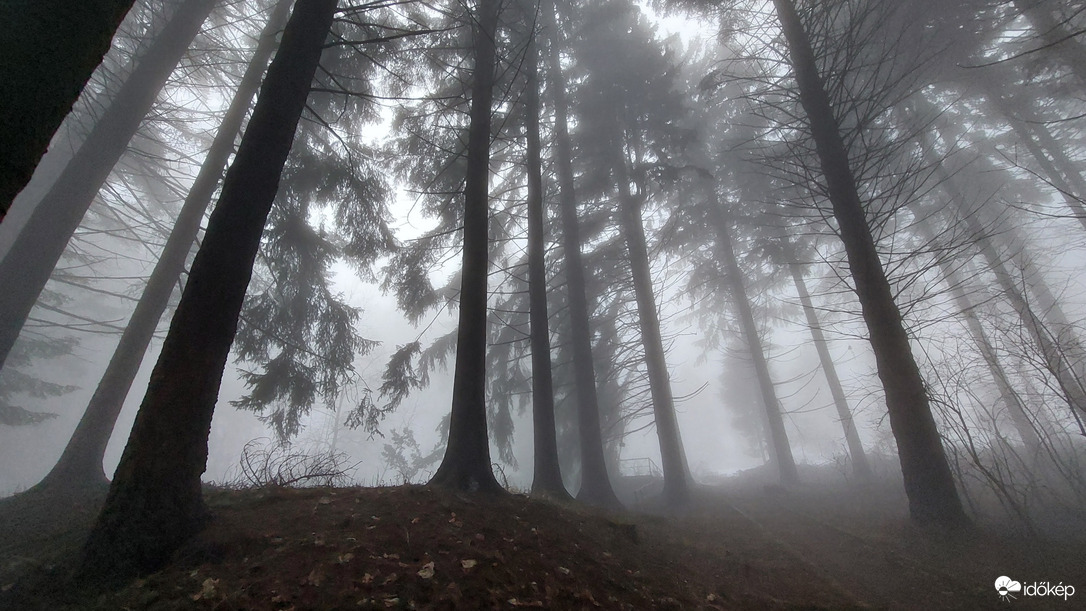 Napok óta nem tágít