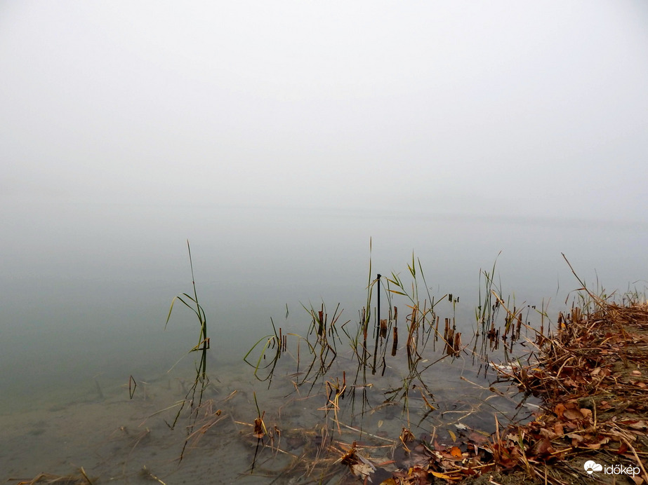  Csak a nagy szürkeség