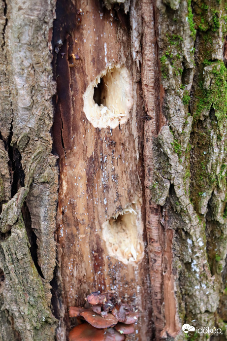 Valaki itt nagyon dolgozott!