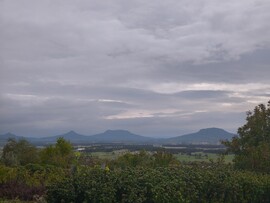 Zalahaláp
