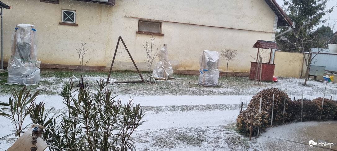 Észlelési fényképek