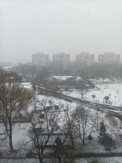 Nyíregyháza