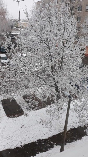 Nyíregyháza