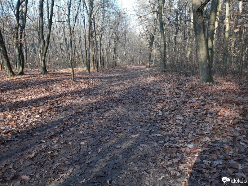 Nyíregyháza