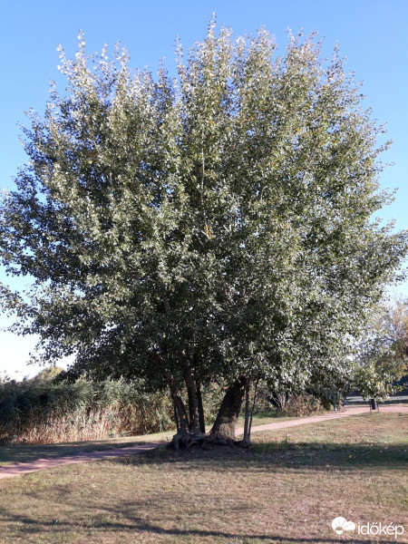 Nyíregyháza