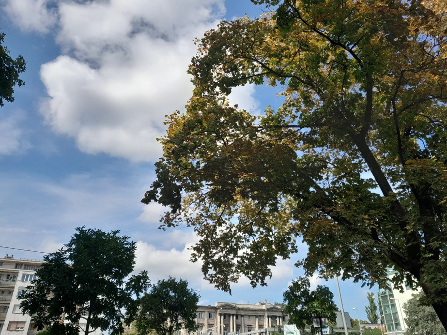 Győr