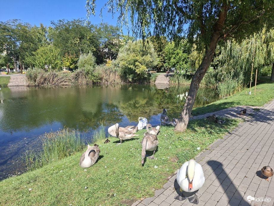 Győr