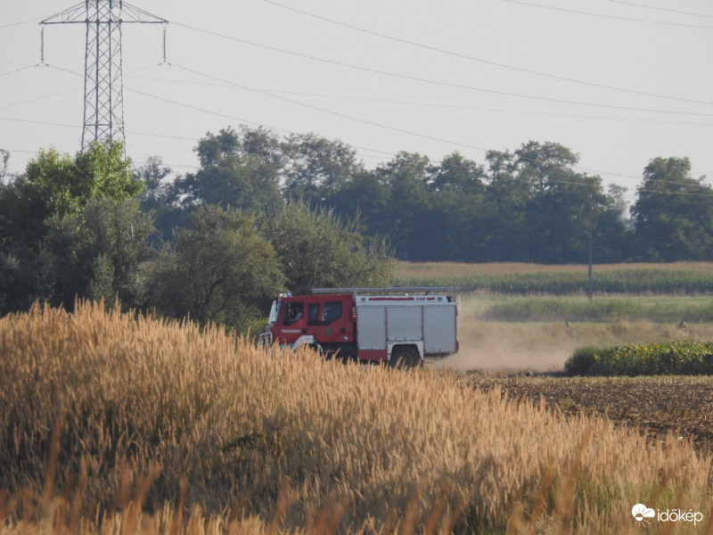 20 hektáron ég a gaz és az avar Tiszalökön 