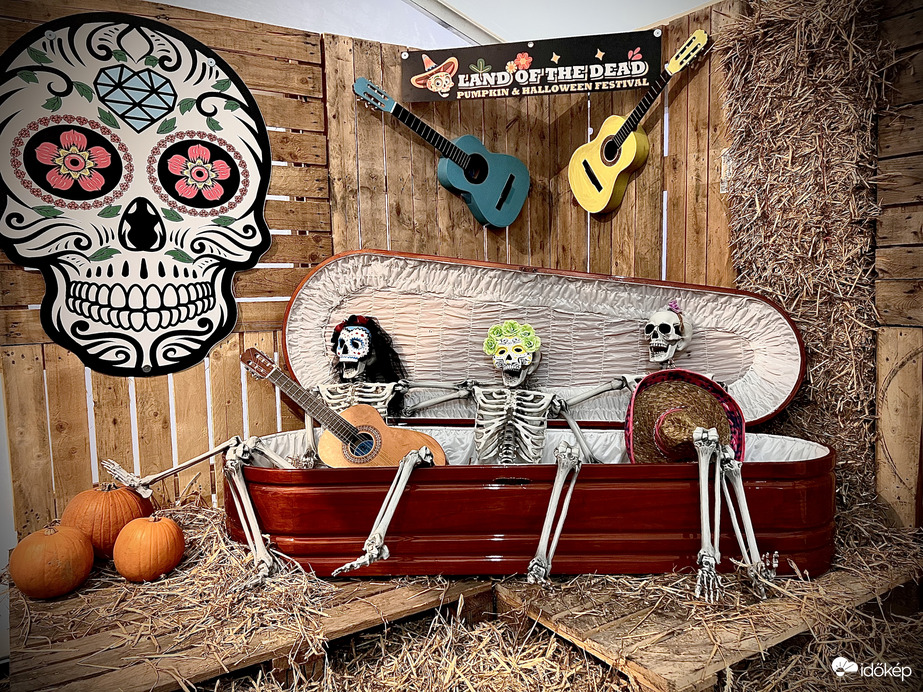 Halloween festival