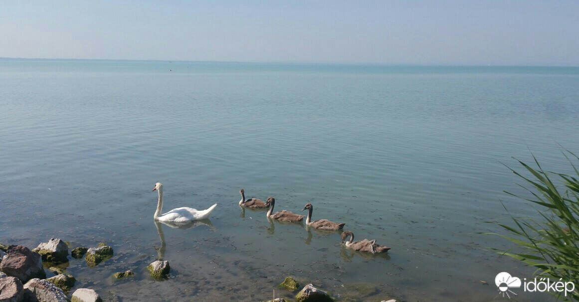 Balatonfűzfő
