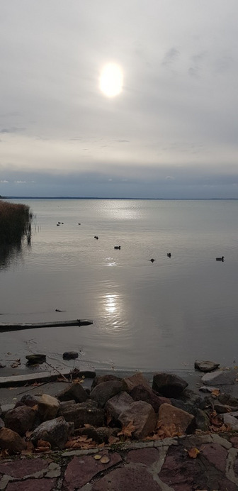 Balatonfűzfő