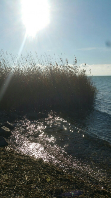 Balatonfűzfő