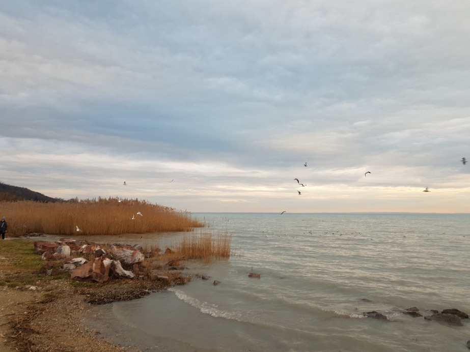 Balatonfűzfő